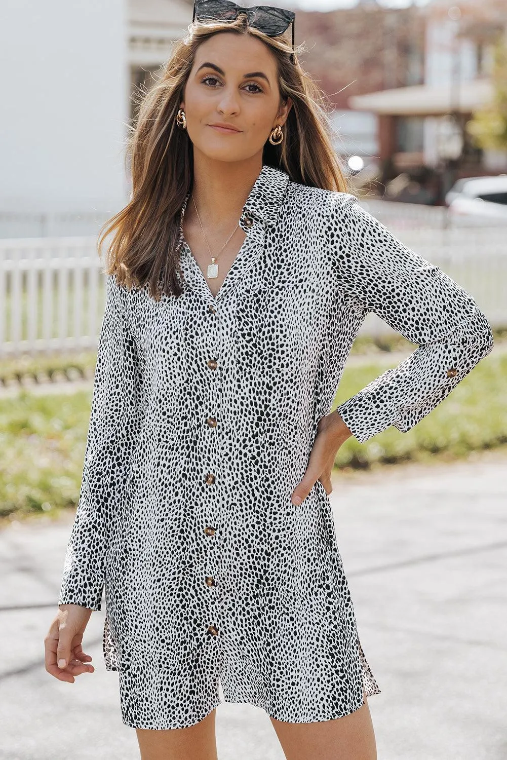 Calm And Easy Long Sleeve Collared Mini Dress