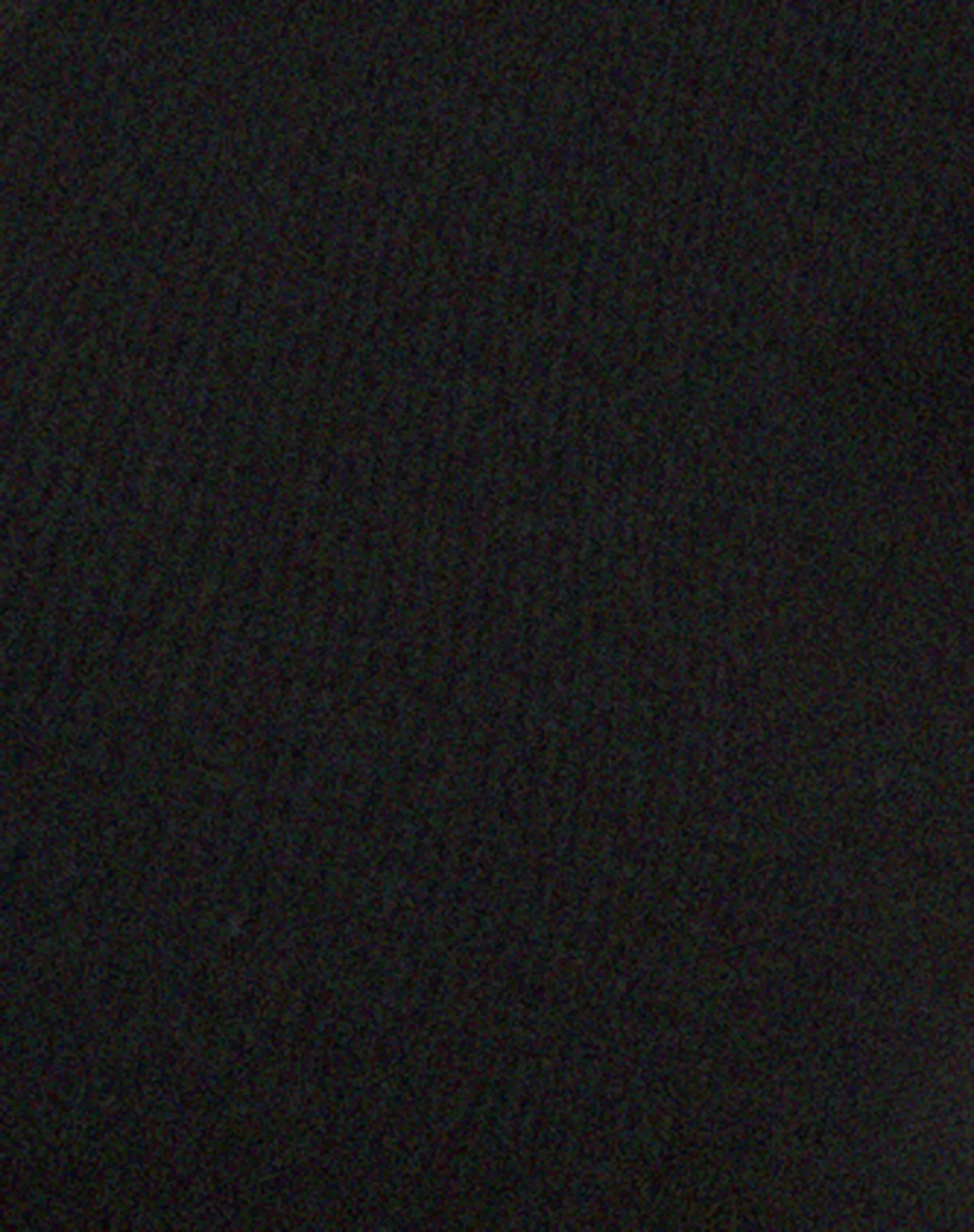 Guanna Crop Top in Black