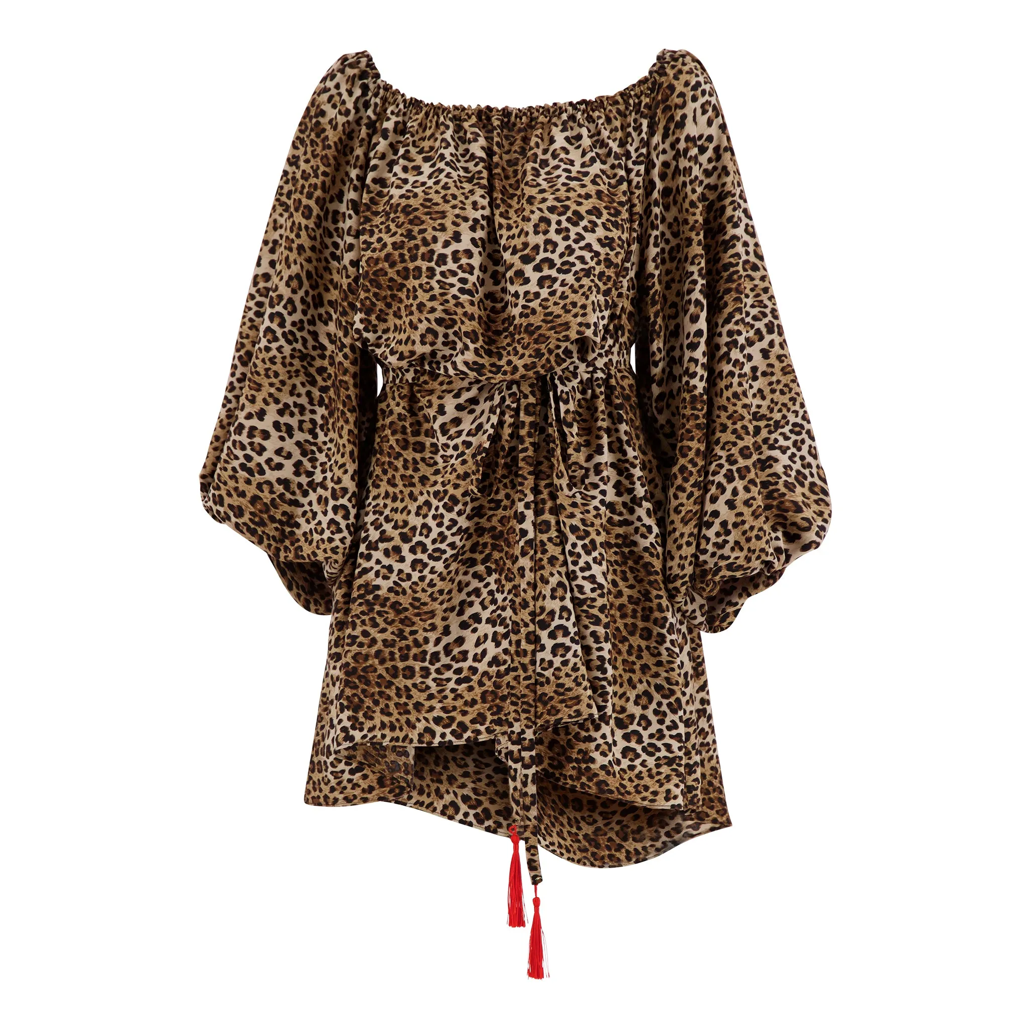 Leopard Mini Dress