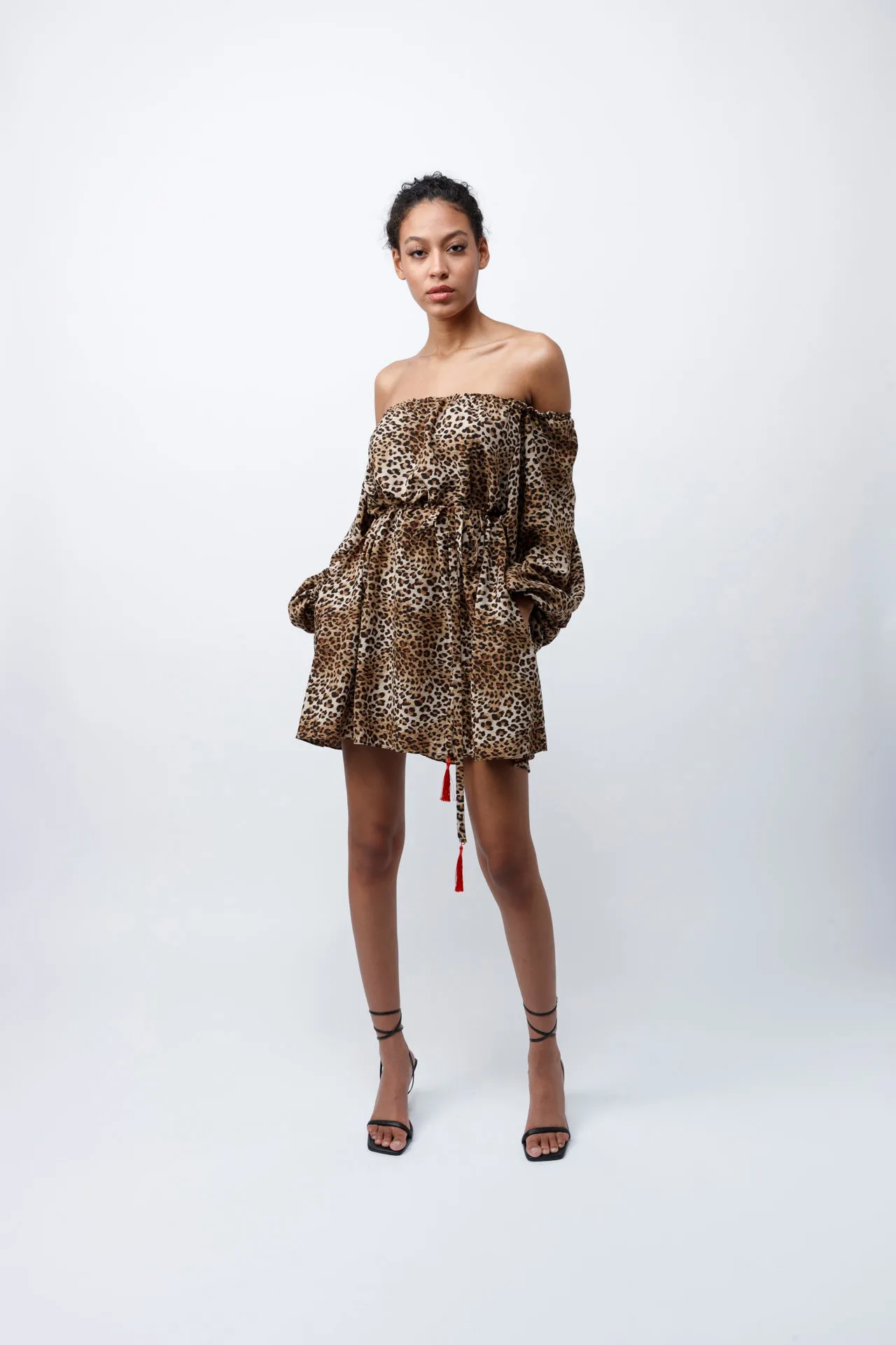 Leopard Mini Dress